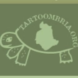 04044320549AZ.-AGR.-TARTOOMBRIA
