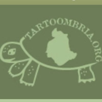04044320549AZ.-AGR.-TARTOOMBRIA