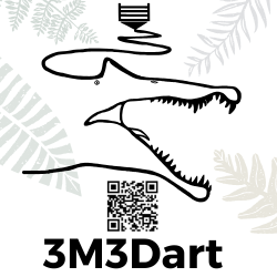 3m3dart.png