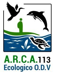 A.R.C.A.-113-Ecologico-O.D.V