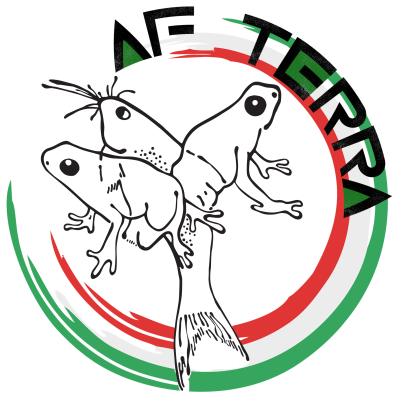 ACQUARIO-FOSSOLO-2-SRLAF-Terra-Linea-Terrari-di-Acquario-Fossolo