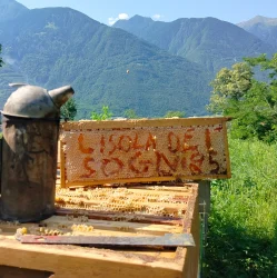 AZ.-AGr.-L-isola-dei-sogniApicoltura-