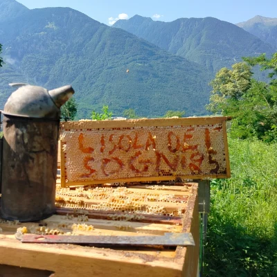 AZ.-AGr.-L-isola-dei-sogniApicoltura-