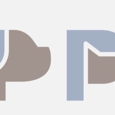 Abbigliamento-per-animali-di-seconda-mano