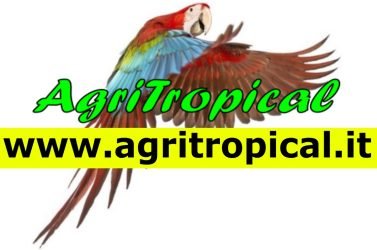 AgriTropicalAllevamento