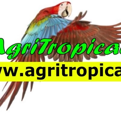 AgriTropicalAllevamento