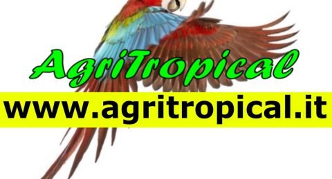 AgriTropicalAllevamento