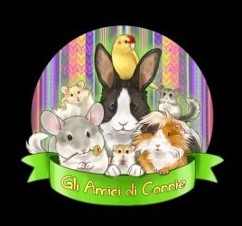 Alessandro-Melandri-1