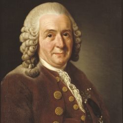 Alessandro-pappalardo