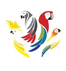 Allevamento-Angelotti-Allevamento-Angelotti