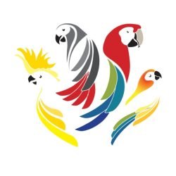Allevamento-Angelotti-Allevamento-Angelotti