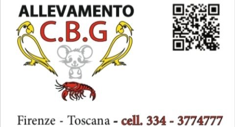 Allevamento-C.B.G