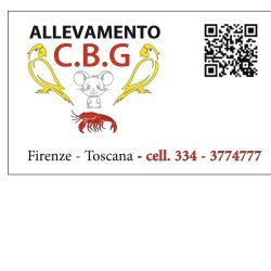 Allevamento-C.B.G