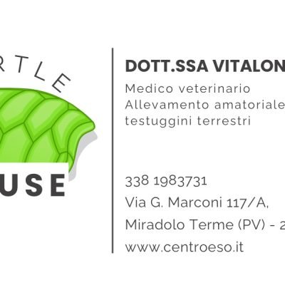 Allevatore-amatoriale-di-testuggini-terrestri-e-medico-veterinario