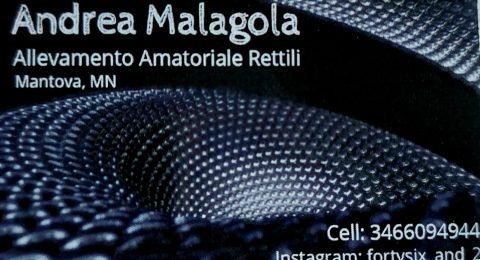 Andrea-Malagola
