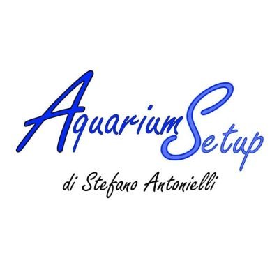 Aquarium-Setup-di-Stefano-Antonielli