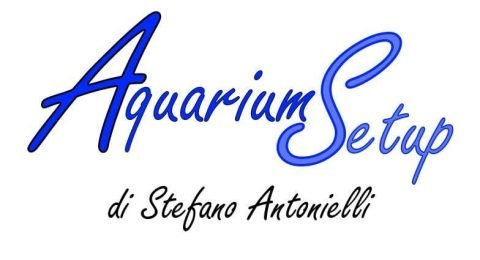 Aquarium-Setup-di-Stefano-Antonielli