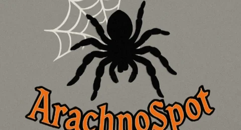 ArachnoSpot-