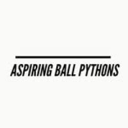 Aspiring-Ball-PythonsAspiring-Ball-Pythons