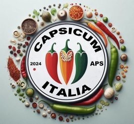 Associazione-di-Promozione-Sociale-iscritta-al-R.U.N.T.S.Capsicum-Italia-APS