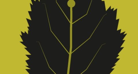 BASICINSTICK-1
