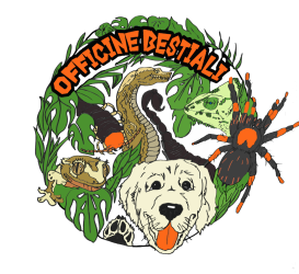 Bartolomeo-Lattanzio