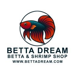 BettadreamIvan