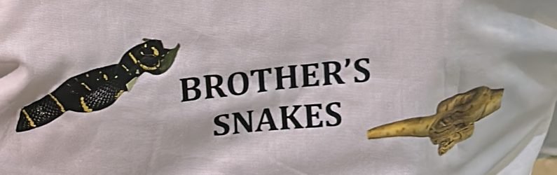 Brothers-snakes