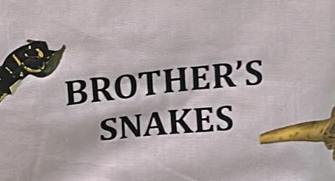 Brothers-snakes