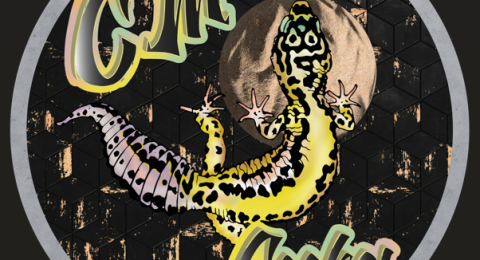 CM-Geckos