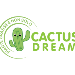 Cactus-Dream-di-Elizaveta-PavlovaCactus-Dream-di-Elizaveta-Pavlova