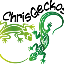 ChrisGeckosChrisGeckos