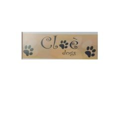 Cloedogs-