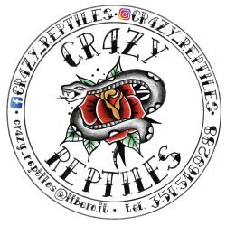Cr4zy-Reptiles