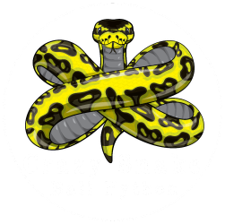 Crazy-Snake-Ball-Python