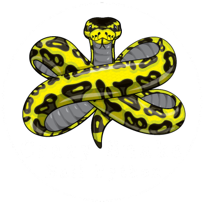 Crazy-Snake-Ball-Python