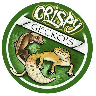 Crispy-Geckos-