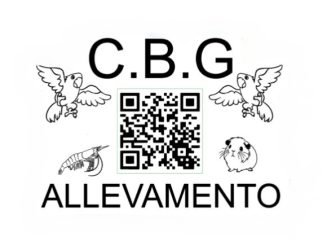 Culica-Bogdan-Gheorghe