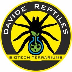 DAVIDE-REPTILES