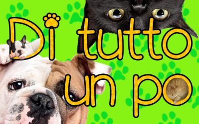 DI-TUTTO-UN-POGADGET-ANIMALI