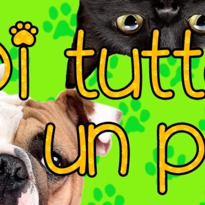 DI-TUTTO-UN-POGADGET-ANIMALI