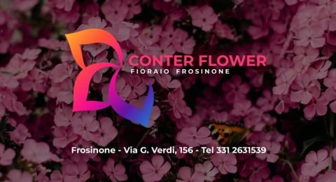 Domenico-De-martino-