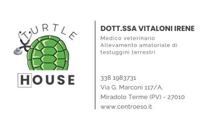Dott.ssa-Vitaloni-Irene-