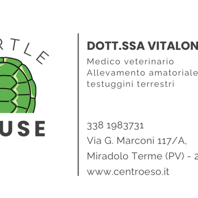 Dott.ssa-Vitaloni-Irene-