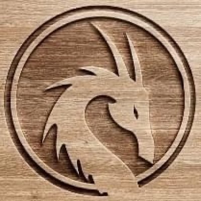 Dragon-Fly-Geckos--1