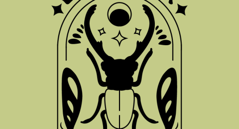 EntomoBox-