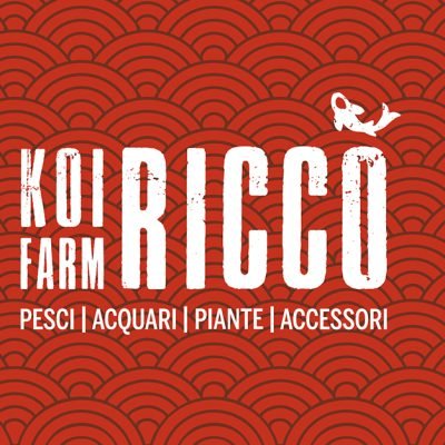 Federico-Ricco
