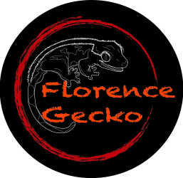 Florence-Gecko