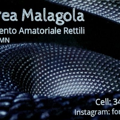 Fortysix-2-reptiles-di-Andrea