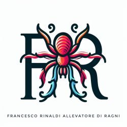 Francesco-Rinaldi-